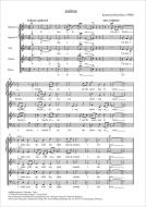 anima Standard