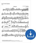 Das Tal des Espingo op. 50 