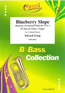 Blueberry Slope op. 67 No. 3 