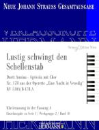 Eine Nacht in Venedig - Lustig schwingt den Schellenstab (Nr. 17B) Download