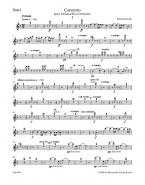 Concerto en ré mineur 