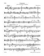 Concerto en ré mineur 