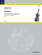 Sonata B Minor Wq 76 Standard