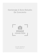 Homenaje A Sors Estudio de Concierto For Guitar 