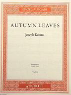 Piano Trio Op. 20 