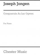 Crepuscule Au Lac Ogwen: Impression 