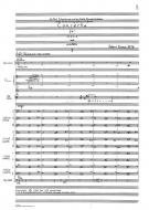 Viola Concerto 