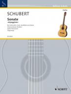 Sonata Arpeggione A Minor D 821 Standard