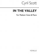 In The Valley 