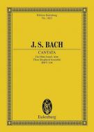 Cantata No. 104 (Dominica Misericordias Domini) BWV 104 Standard