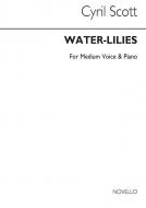 Water-lilies 