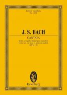 Cantata No. 159 (Dominica Estomihi) BWV 159 Standard