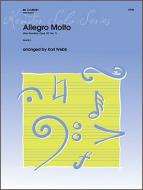Allegro Molto Standard