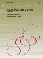 Sheep May Safely Graze 