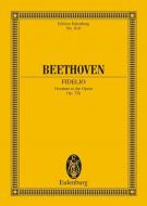 Fidelio op. 72b Standard