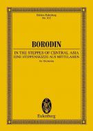 In the Steppes of Central Asia Standard