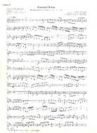 Konzert in D-Dur nach BWV 1053, BWV 49, BWV 169 