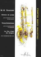 Histoire de Pulse / Toises-Entretoises / Le clin d'oeil du dragon 