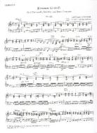 Konzert g-Moll PV 411 für 2 Violoncelli, Streichorchester und Bc. 