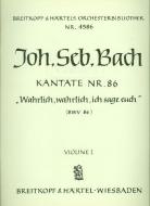 Wahrlich, wahrlich, ich sage euch 