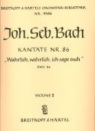Wahrlich, wahrlich, ich sage euch 