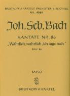 Wahrlich, wahrlich, ich sage euch 
