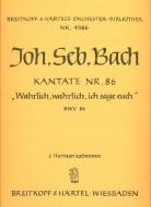 Wahrlich, wahrlich, ich sage euch 