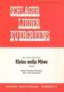 Kleine weiße Möwe 