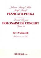 Pizzicato Polka / Polonaise de Concert 