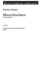 Meeresleuchten Standard