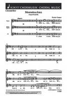 Meeresleuchten Standard