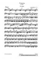 Concerto Ré majeur op. 10/3 RV 428/PV 155 Standard