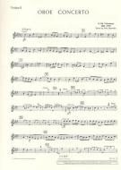 Concerto Fa mineur 