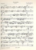 Concerto Mi mineur 