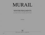 Winter fragments 