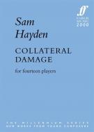 Collateral Damage 