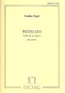 Pujol Pizzicato Pujol 1247 Guitare 