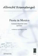 Fiesta in Mexico 