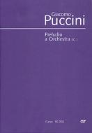 Preludio a orchestra Standard