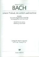 Unsere Trübsal, die zeitlich und leicht ist 