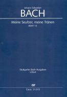 Meine Seufzer, meine Tränen Download