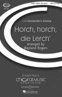 Horch, horch, die Lerch' D 889 
