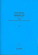 Natascha Trio Contertenor 