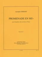Promenade en Mib 