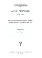 Andante From Symphony No. 0 / Scherzo From The Study Symphony 