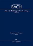 Ach wie flüchtig, ach wie nichtig 