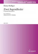2 Jugendlieder Standard