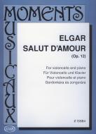 Salut d'amour 