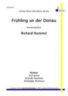 Frühling an der Donau 