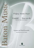 Crudele! ... Non mi dir from The Opera Don Giovanni Standard